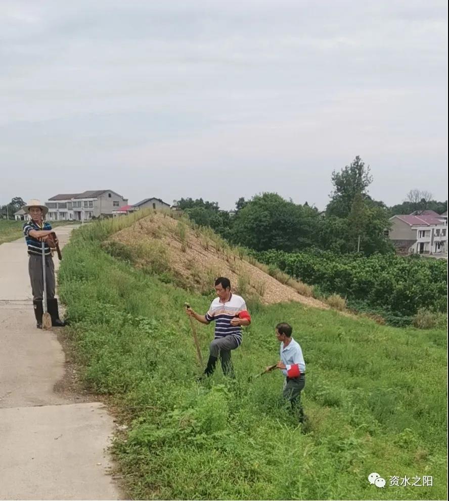 张家塞乡:斗志昂扬 再战秋汛 - 益阳党建网